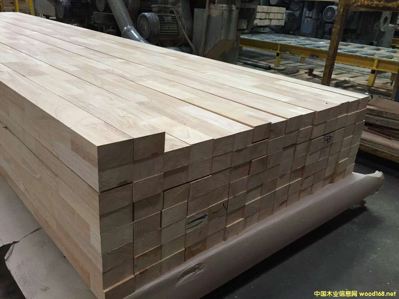 ���zľ����