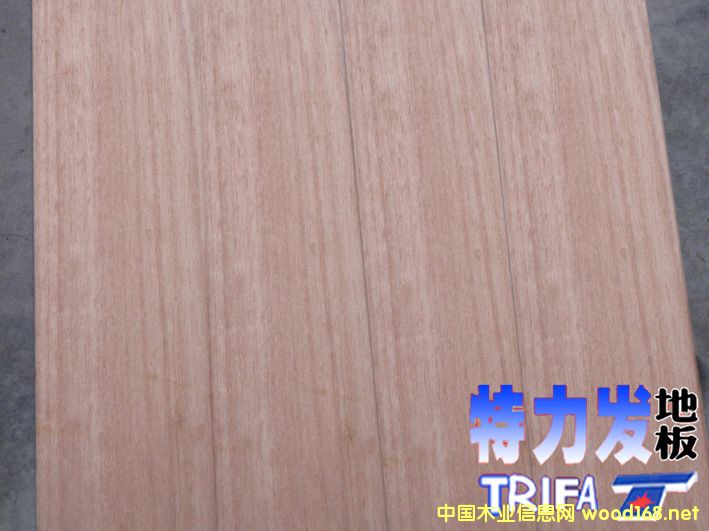 ����(y��ng)��̴�ذ�����