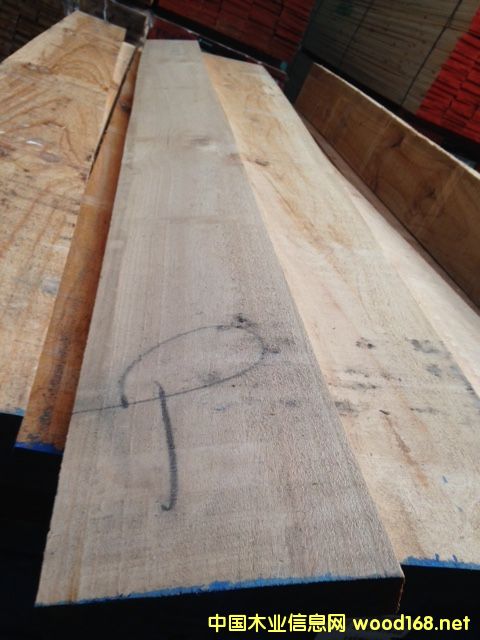 ������SHOP3��ë��37/38MM