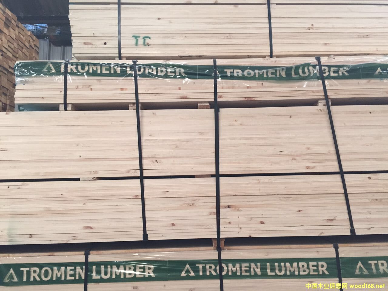 ������TROMEN�Ҿ߼�(j��)5