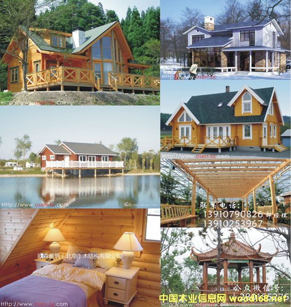 ���ľ����ľ������ľ�e����