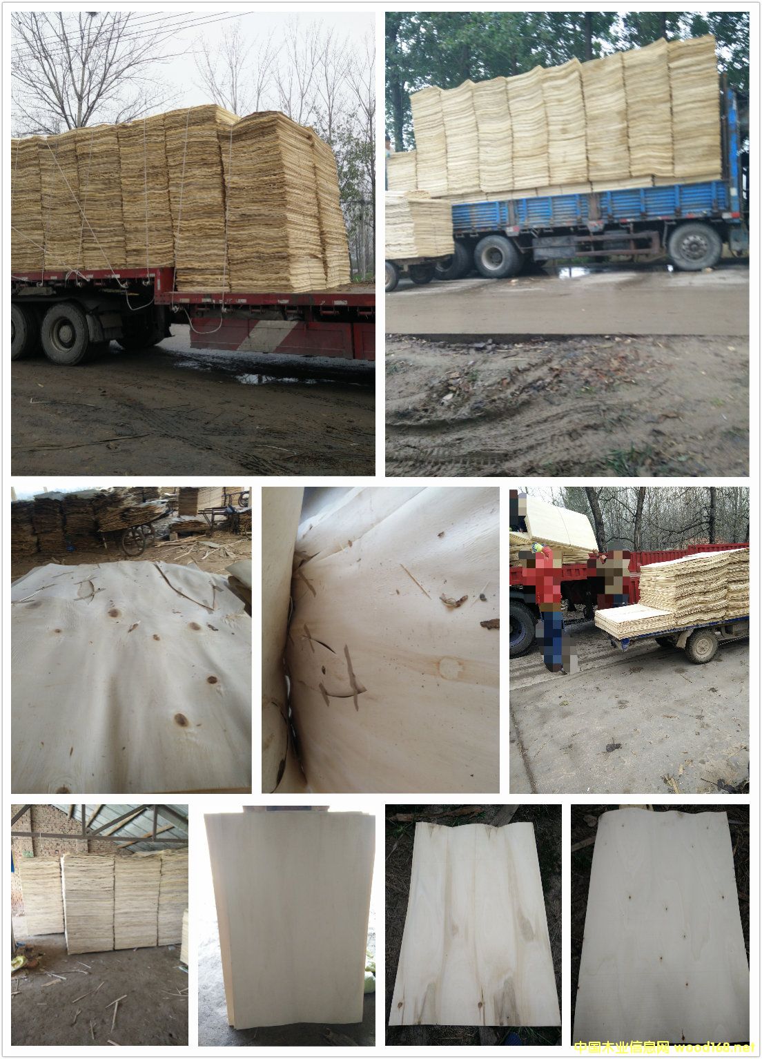 �����o������Ԕ��(x��)��B