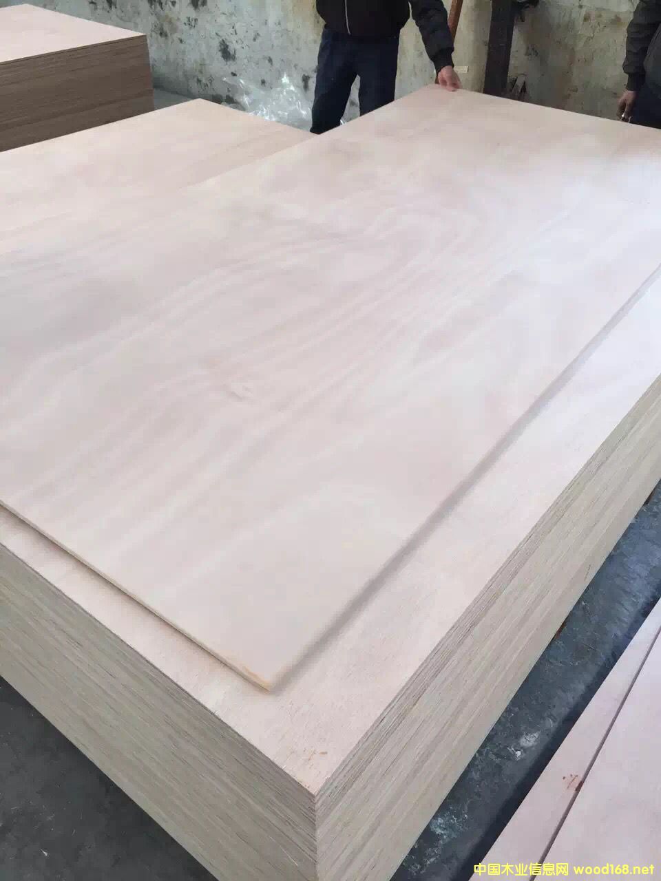 10�����Ư����Ҿ߰�