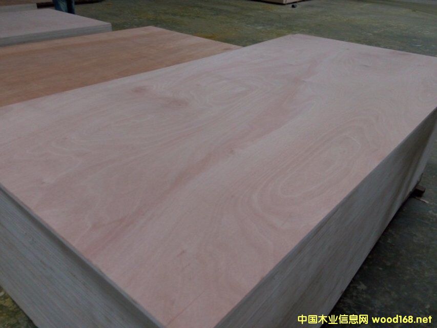 ���γ��Ͱ��b�� �h(hu��n)��E1