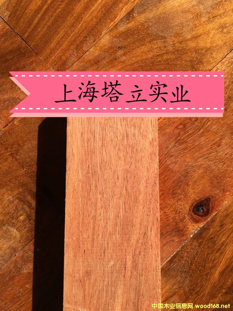 �t�������ľ�Ĉ@�־��^�����ذ��y����ľ�ڂ��ҵ�Ԕ��(x��)��B