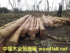 [��] 2-6m,12-30+cm