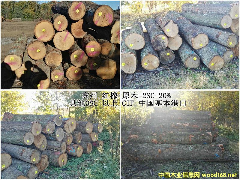 �t�����������ԭľ