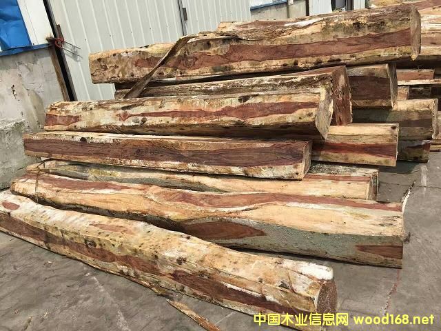 [��] ī����韱ⶹ