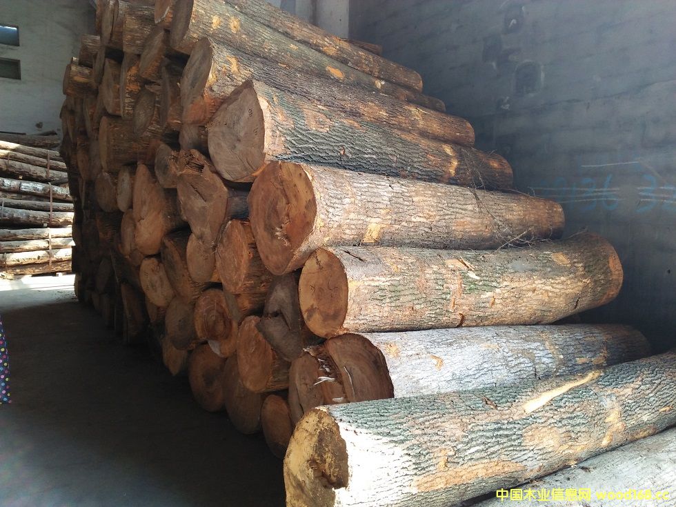 [��] ����ľ