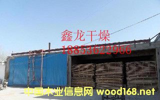 ������Ԕ��(x��)��B