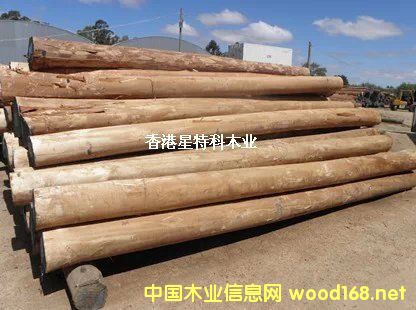 �Ĵ�������ľ ����