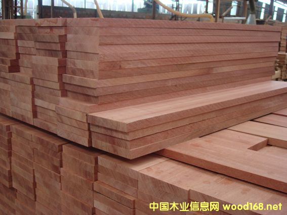 [��] �t̴���㡢�ټt̴��