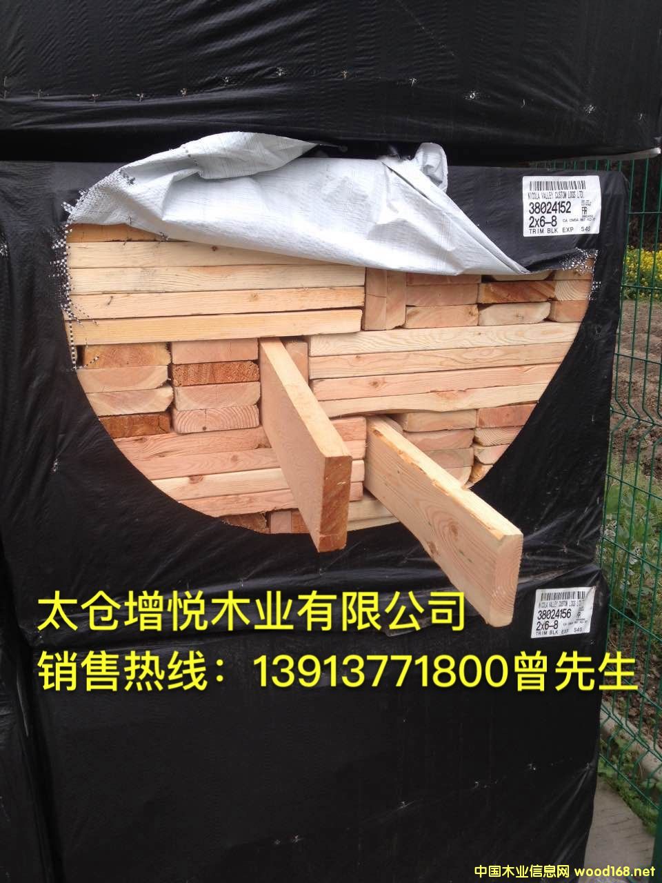 ̫�}�������l(f��)���ɶ������Fɼ�������������