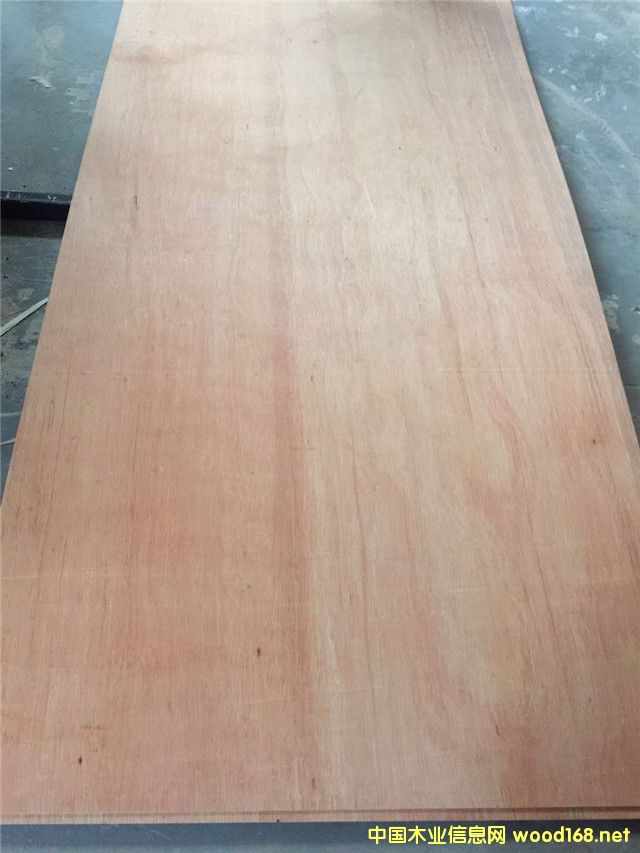 �t�sľ��Ԕ��(x��)��B