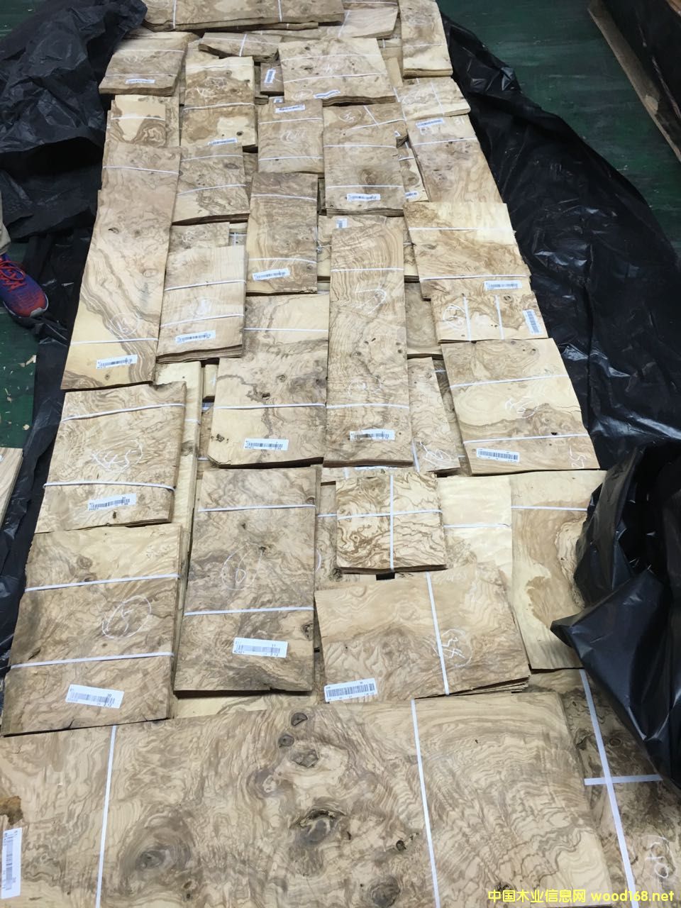 ��˨�ϙ����