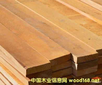 ����(y��ng)���_˹����ľ