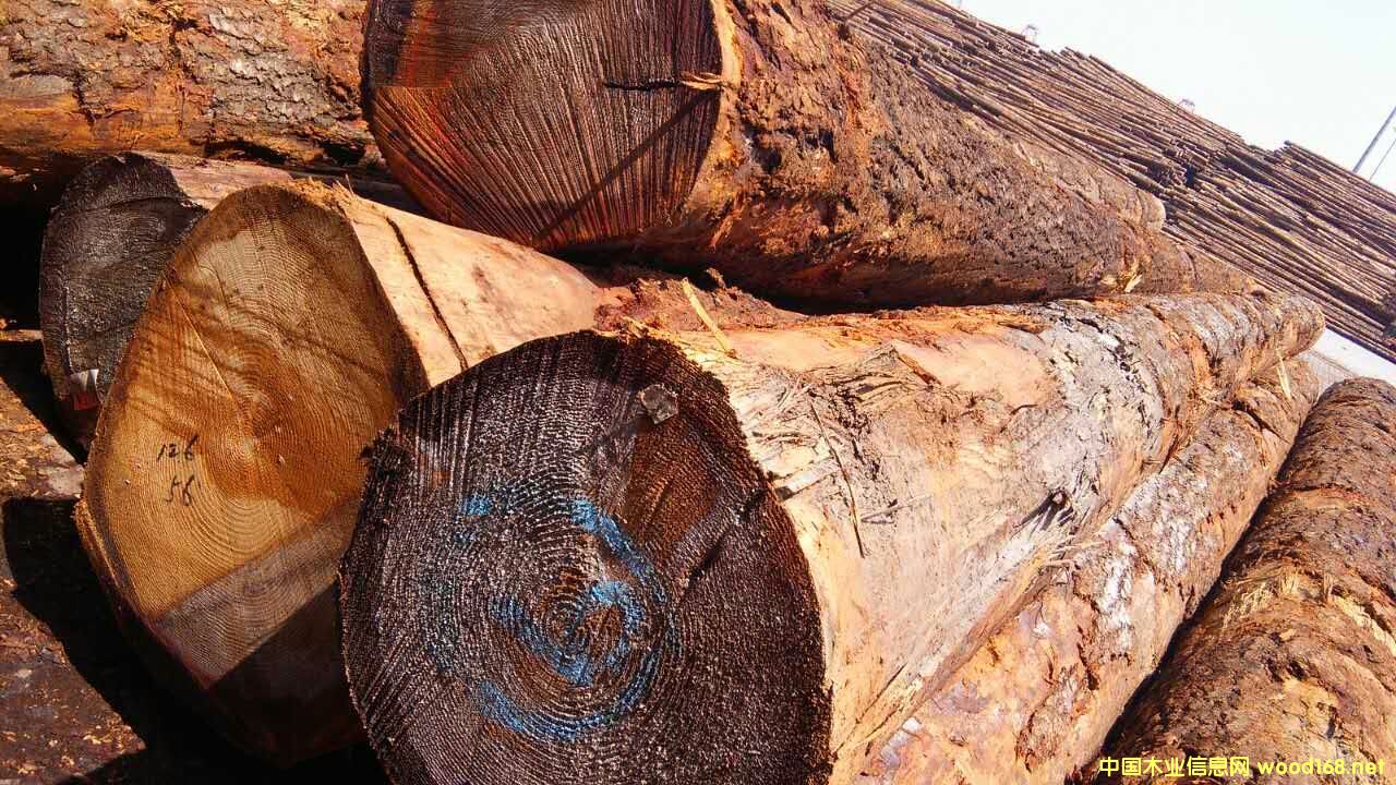 ������ԭľ���󏽱�����