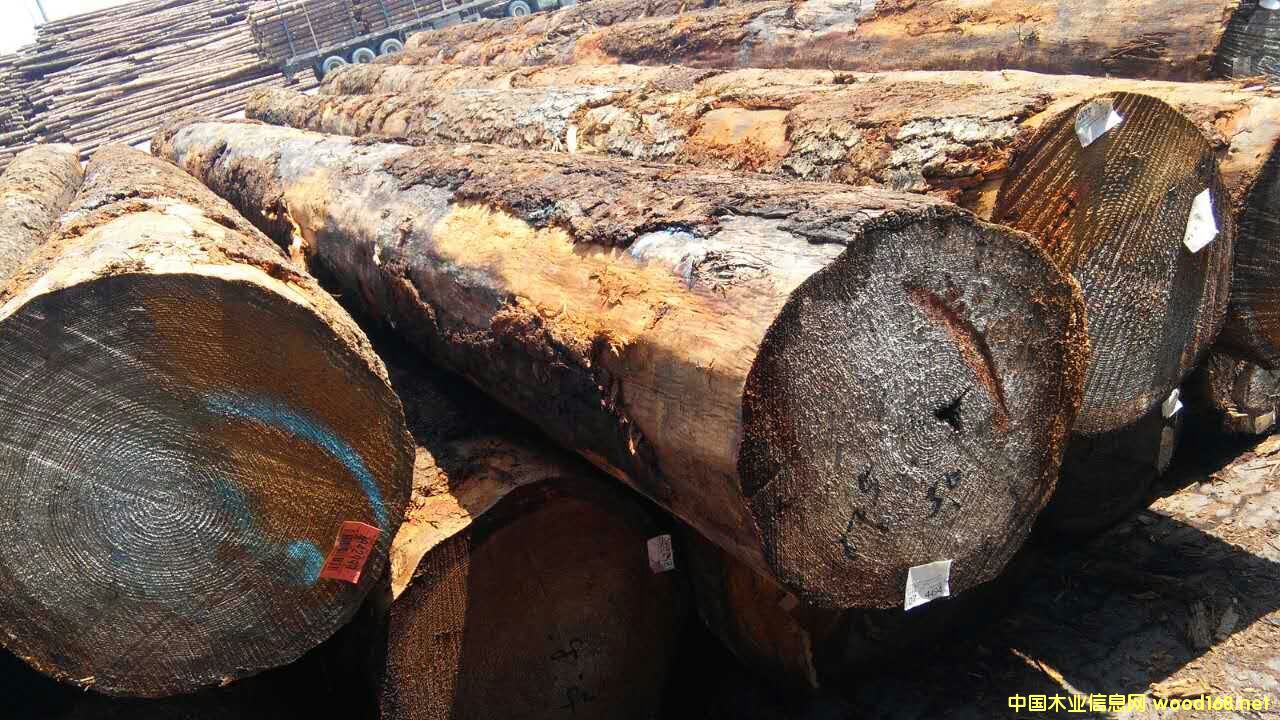 ������ԭľ���󏽱�����