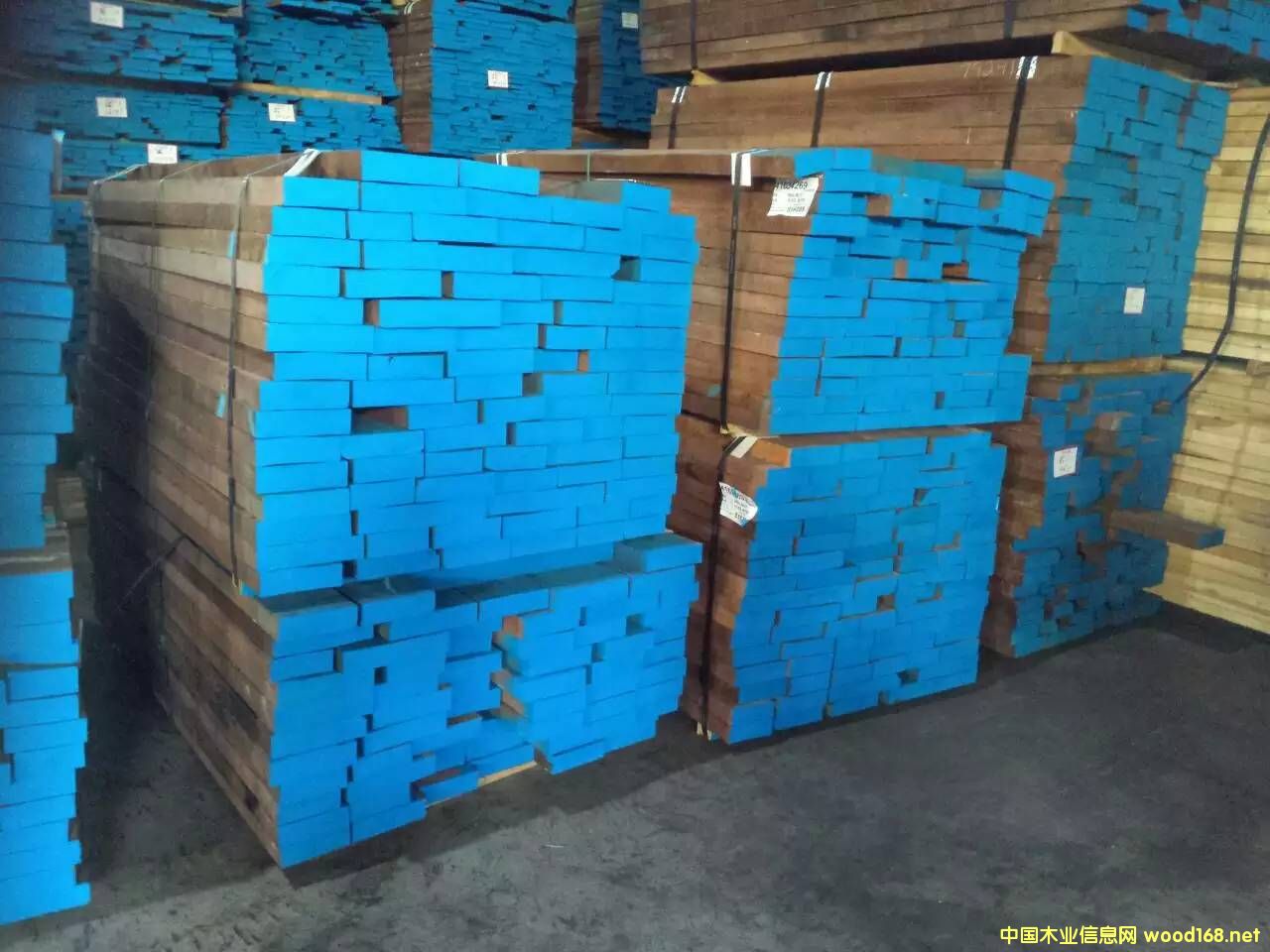 HARTZELL���K�����ں���