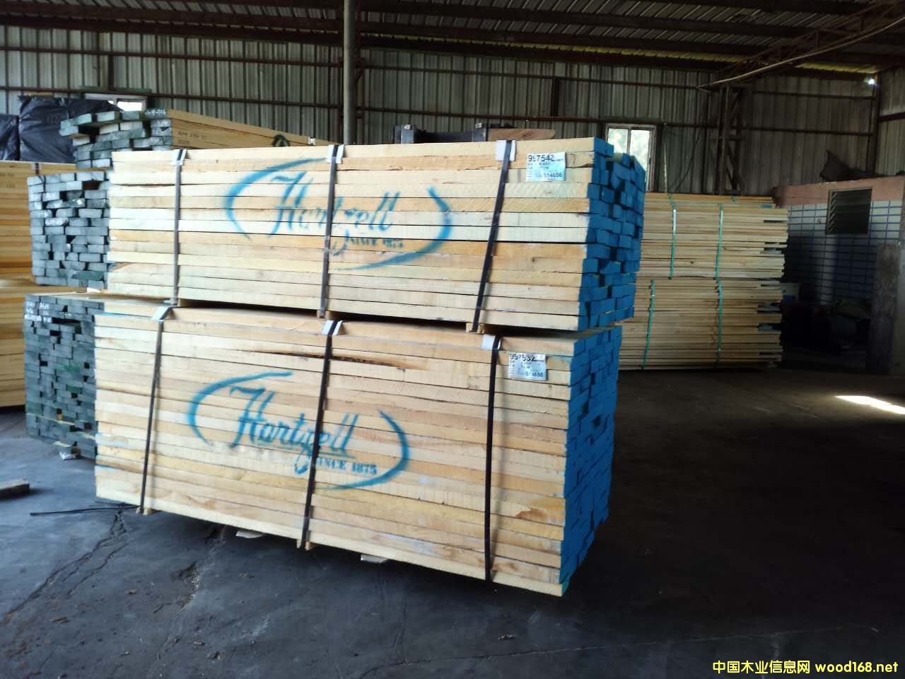 �����t���Ԕ��(x��)��B