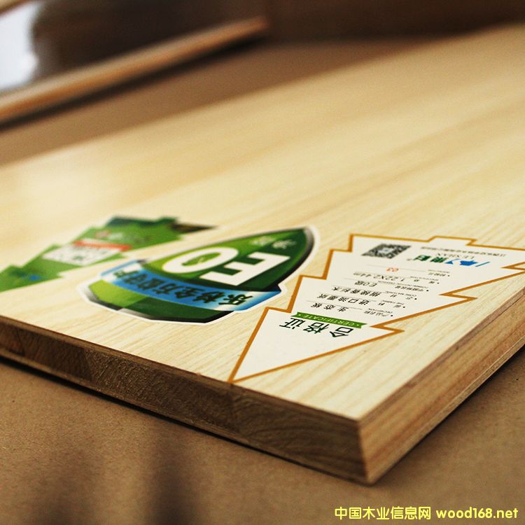 雨絲銀橡的詳細(xì)介紹