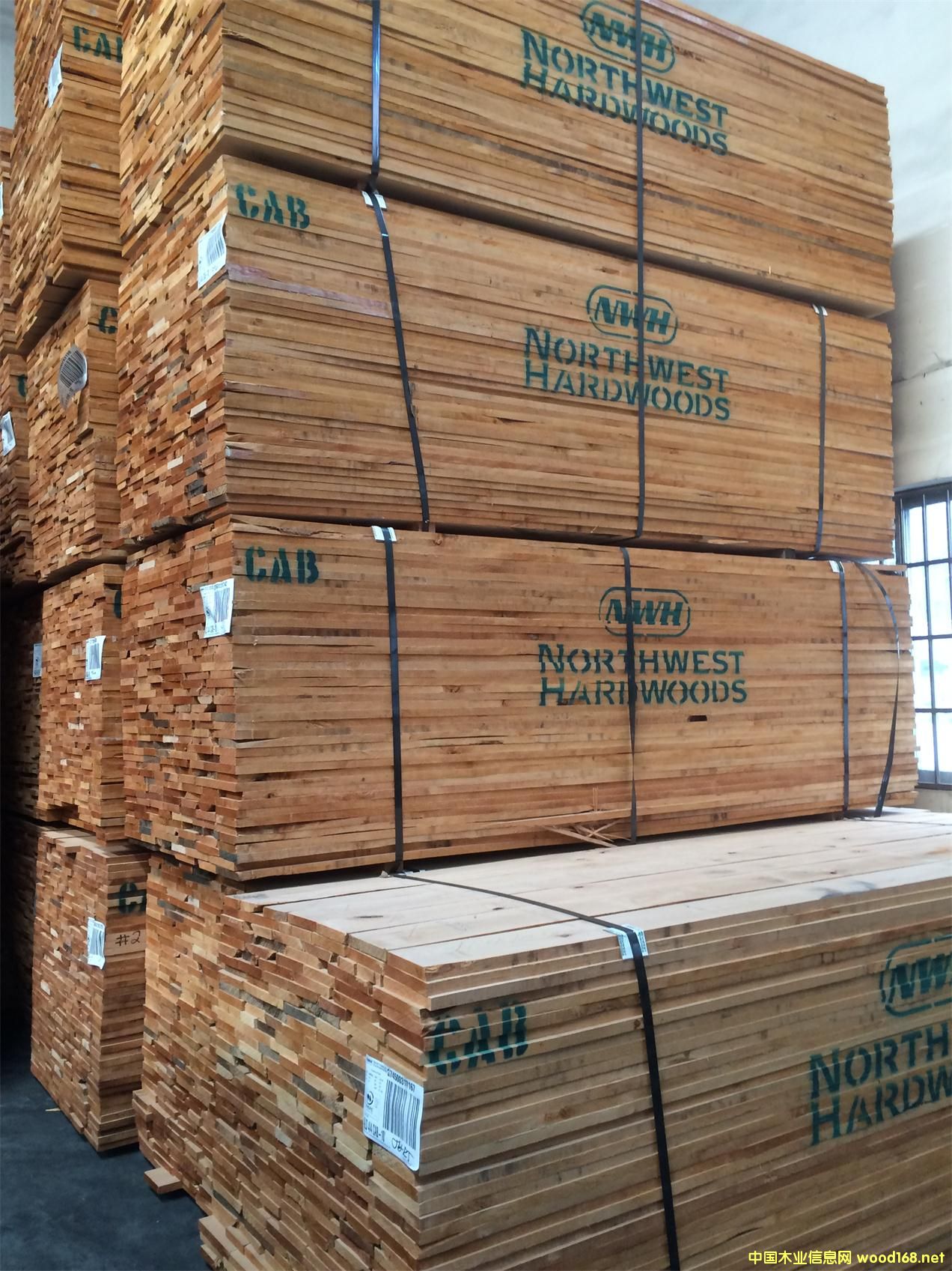 ��������ľ