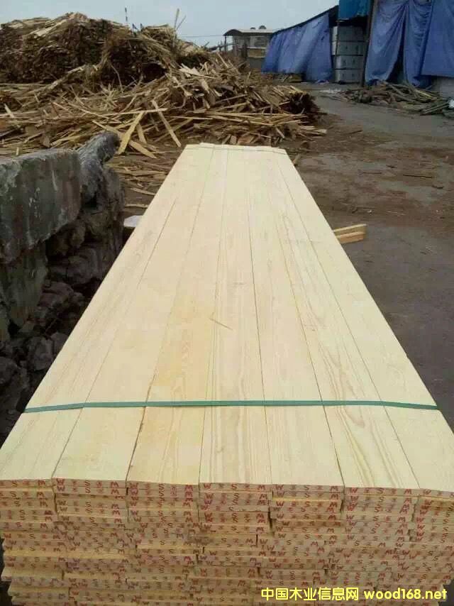 �����ɟo��(ji��)���