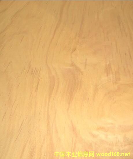 ɽ�𻨵�Ԕ����B