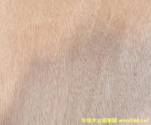 �t�ϙ��Ԕ����B