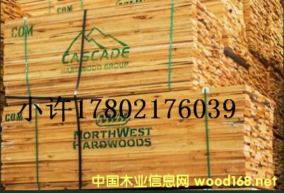 [��] ������������ľ