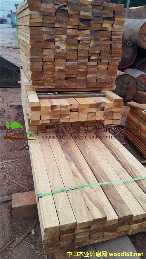 ���޲��}��ذ�