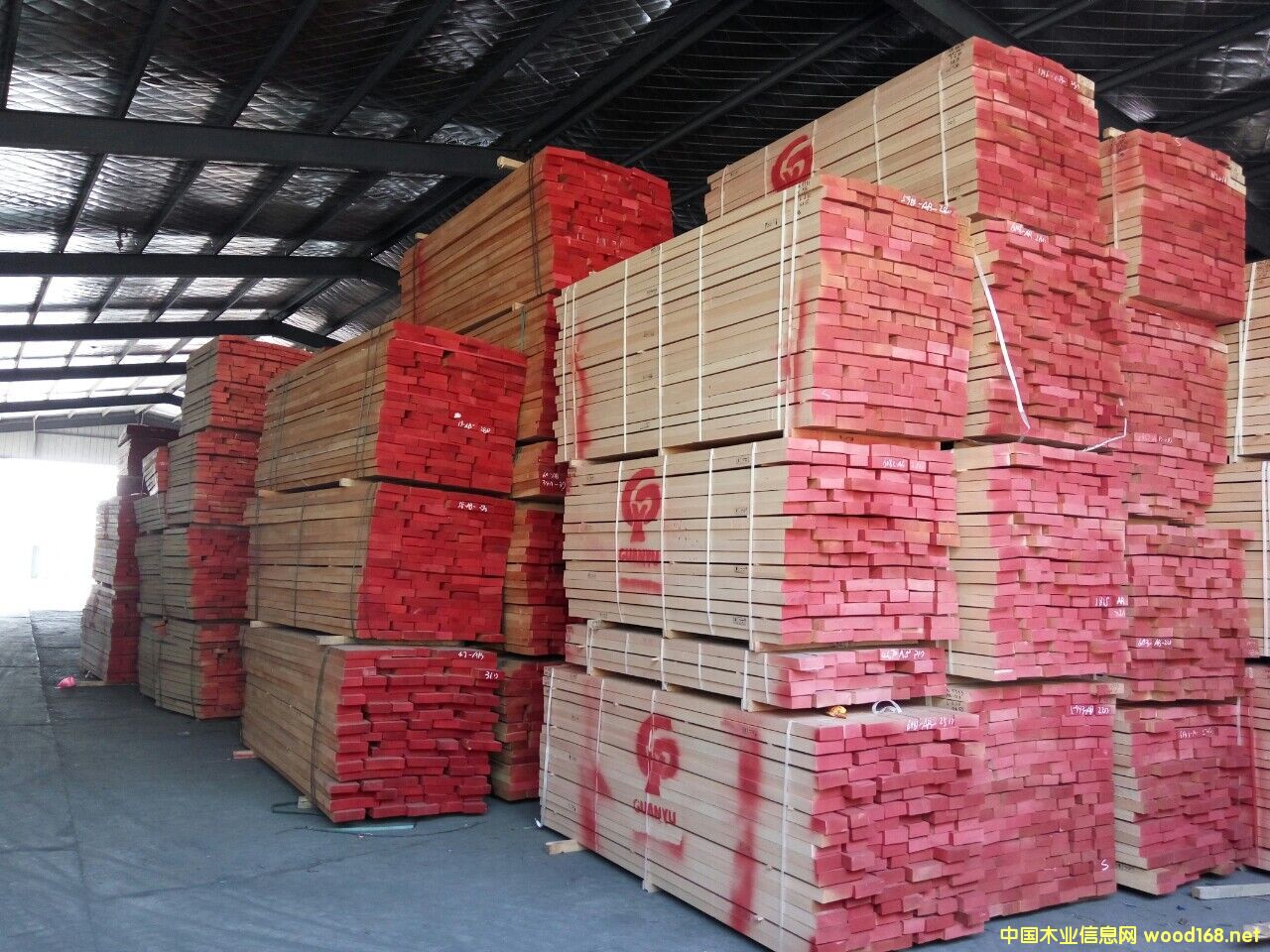 �W�ޙ�ľ��Ԕ��(x��)��B