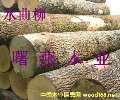 ˮ����ԭľ�������ľ��