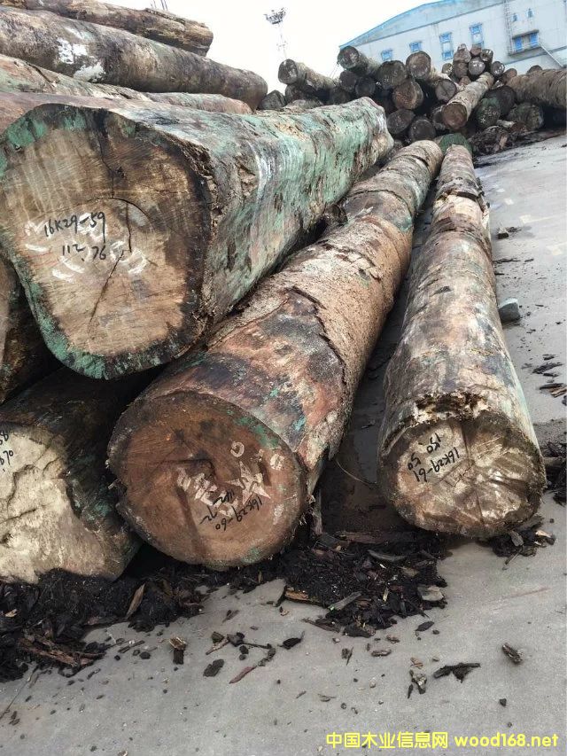 �G��ɣ���l(f��)��Ԕ��(x��)��B