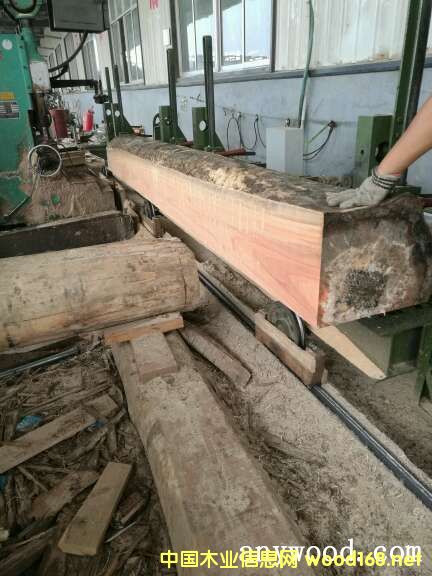 õ��ľ��Ԕ��(x��)��B