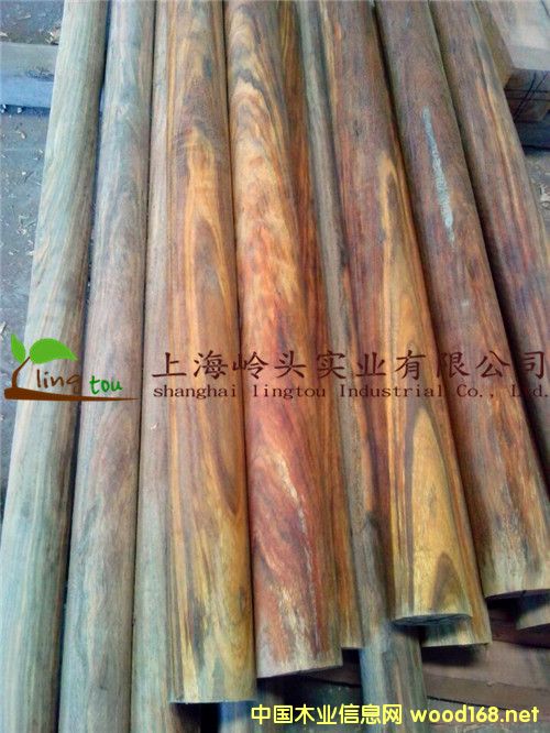 ���޲��}��