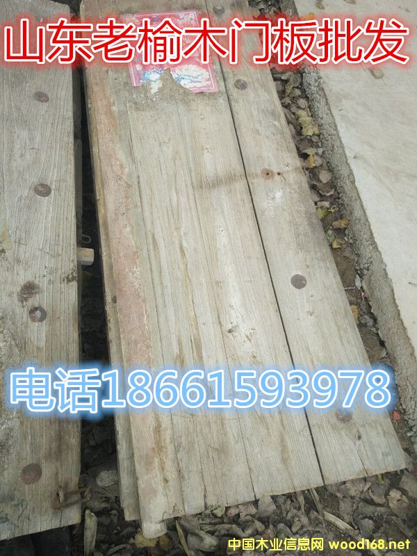 ����ľ�T��