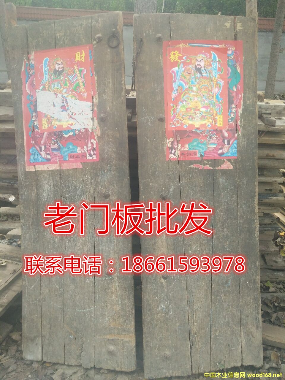 ����ľ�T��08