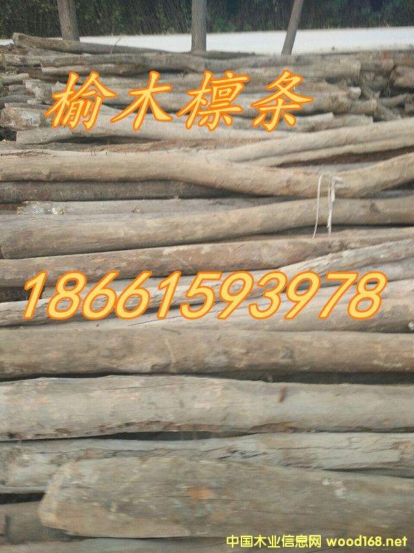 ����ľ--��Ԕ����B