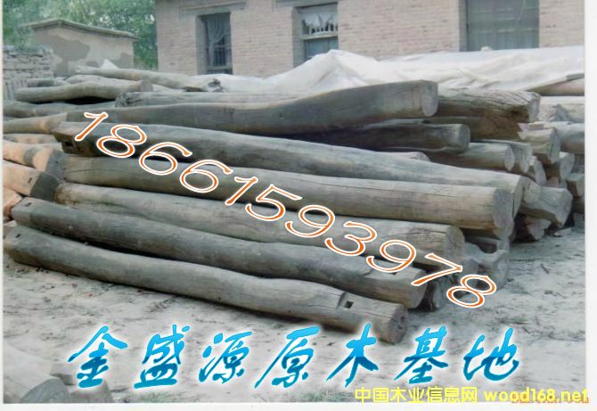 ����ľ��Ԕ����B