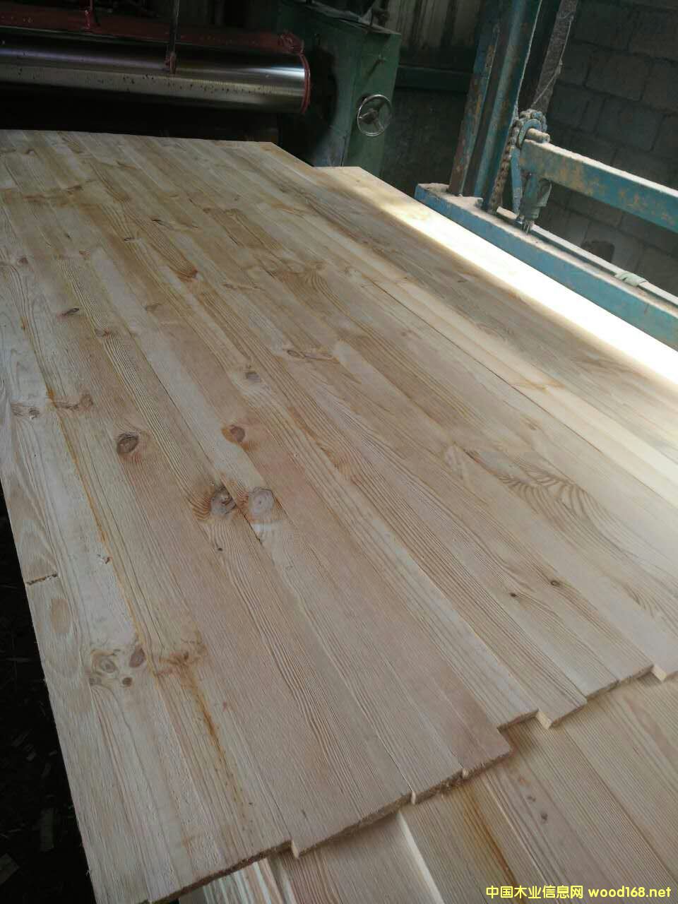 17mm���������B(t��i)��