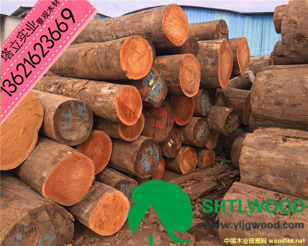 �̈́�ľ���t��ľ���t�������͵�ľ����ľ���y��ľ���ڂ��ҡ���ľ