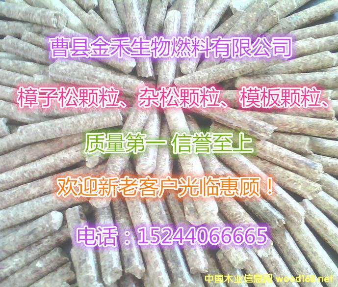 �����ĩ�w�����ĩ�w���N�����ĩ�w�����a����