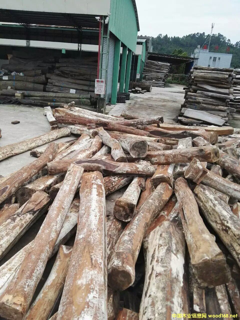 ӡ����~�S̴ԭľ