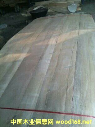 奧古曼的詳細(xì)介紹