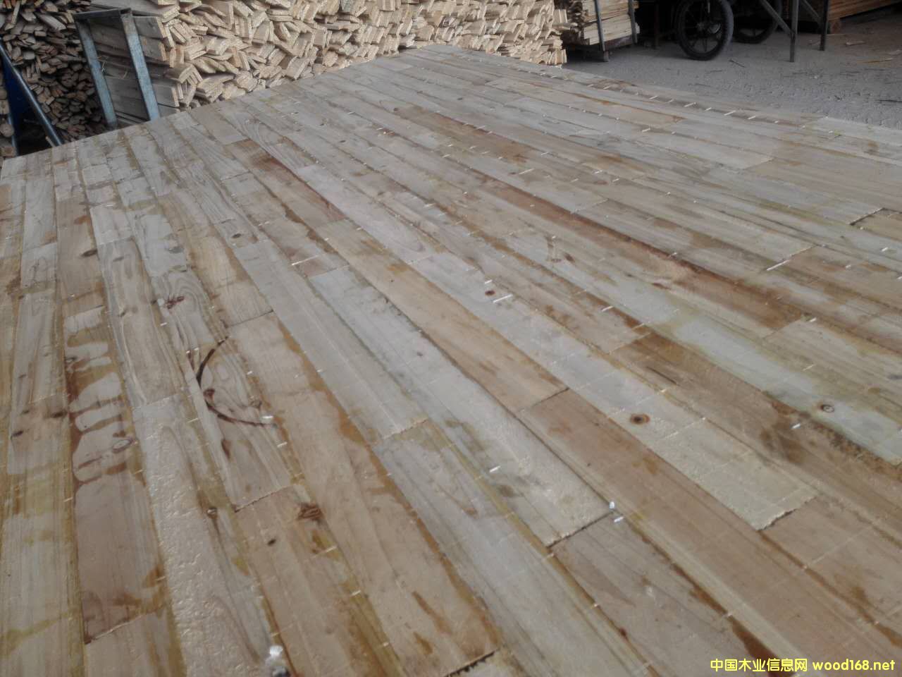 ɼľָ�Ӱ��Ԕ��(x��)��B