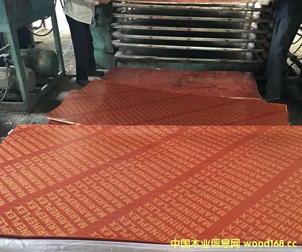 ����ģ��24