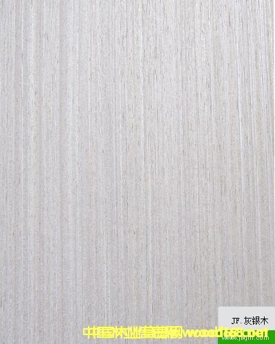 �����Ƽ�ľ