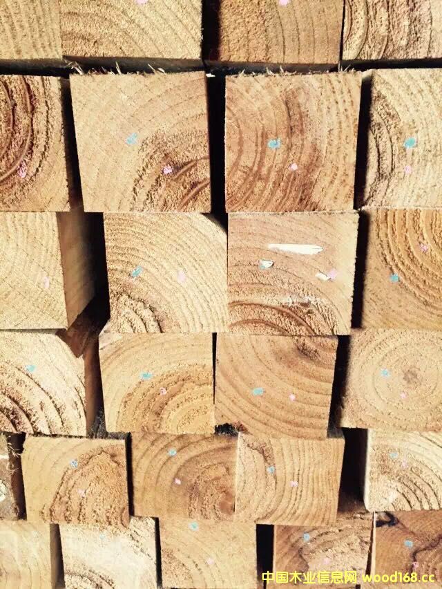 �����mݗ���ɇ�(gu��)��(n��i)�ӹ�