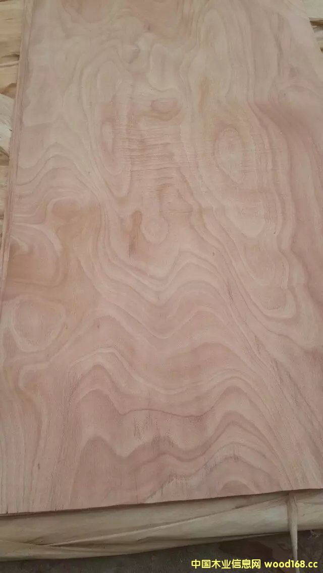 �W������Ƥ